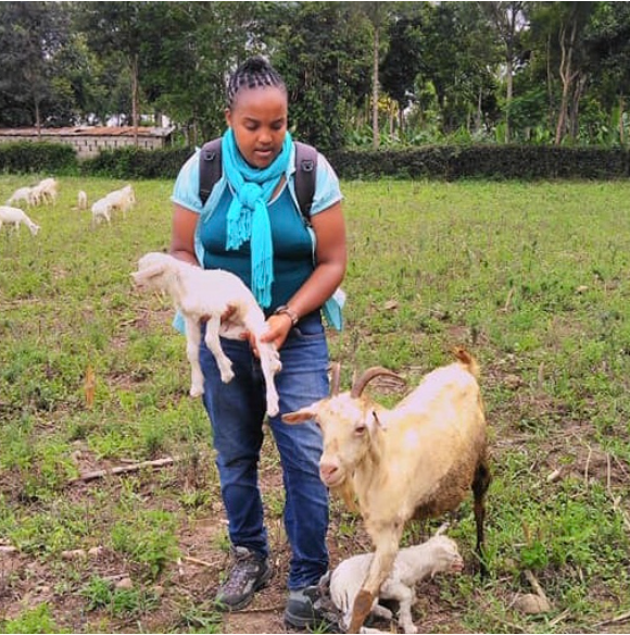 Taking care of animals