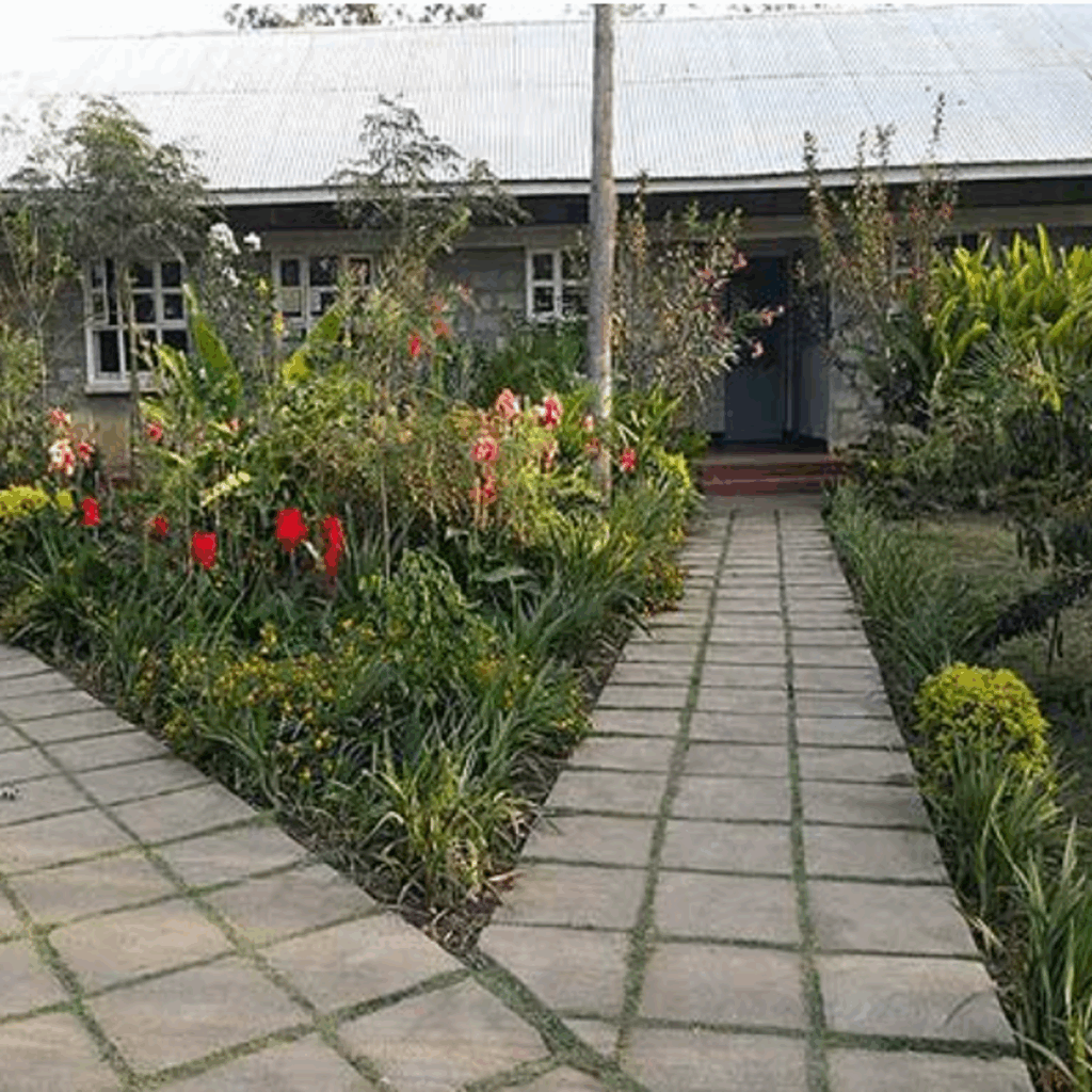 Arise school entry